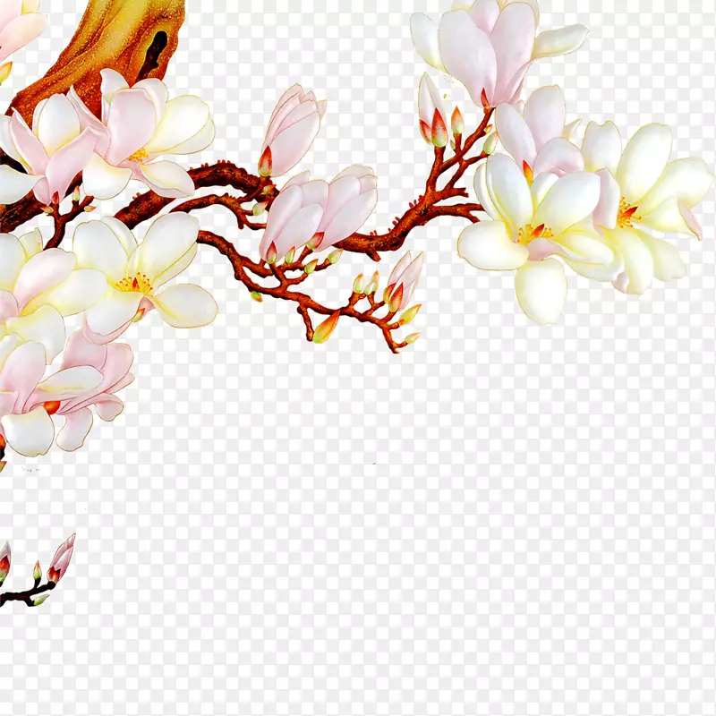 花枝PNG图片素材下载_图片编号7346653-PNG素材网