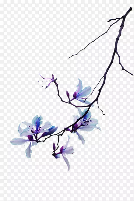 紫色手绘花朵树枝装饰图案