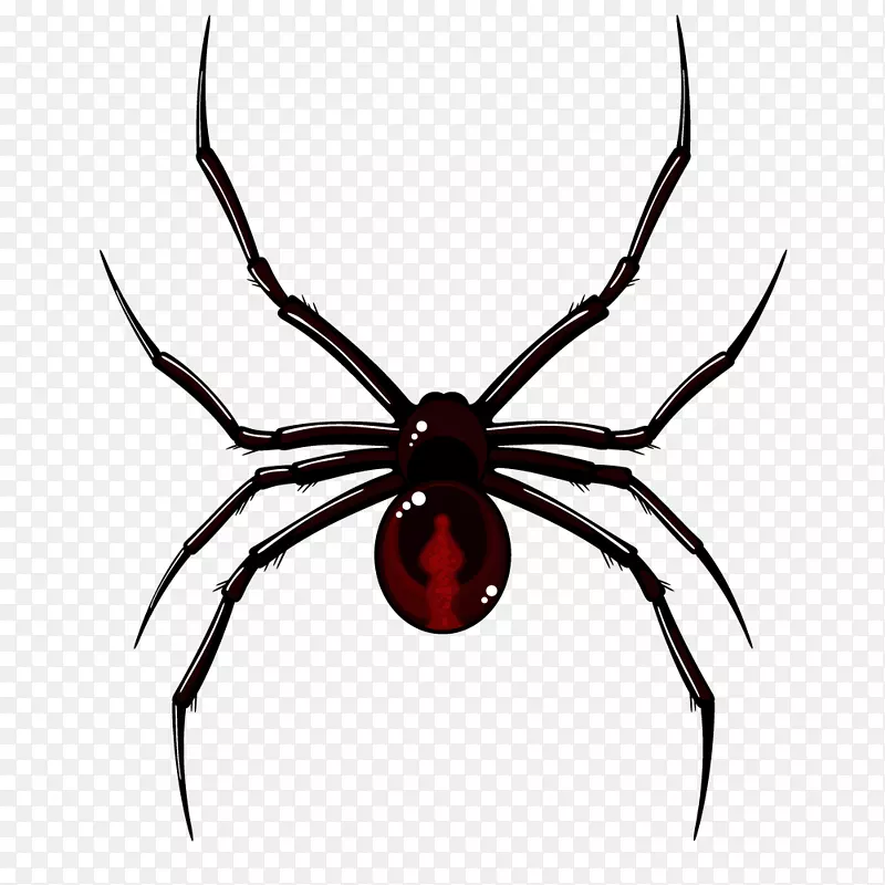 黑红色细长脚蜘蛛图片