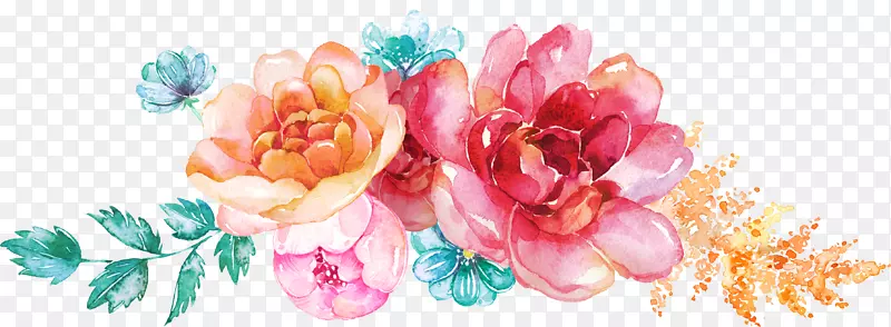 水彩手绘的花卉素材