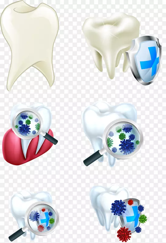手绘牙齿模型矢量