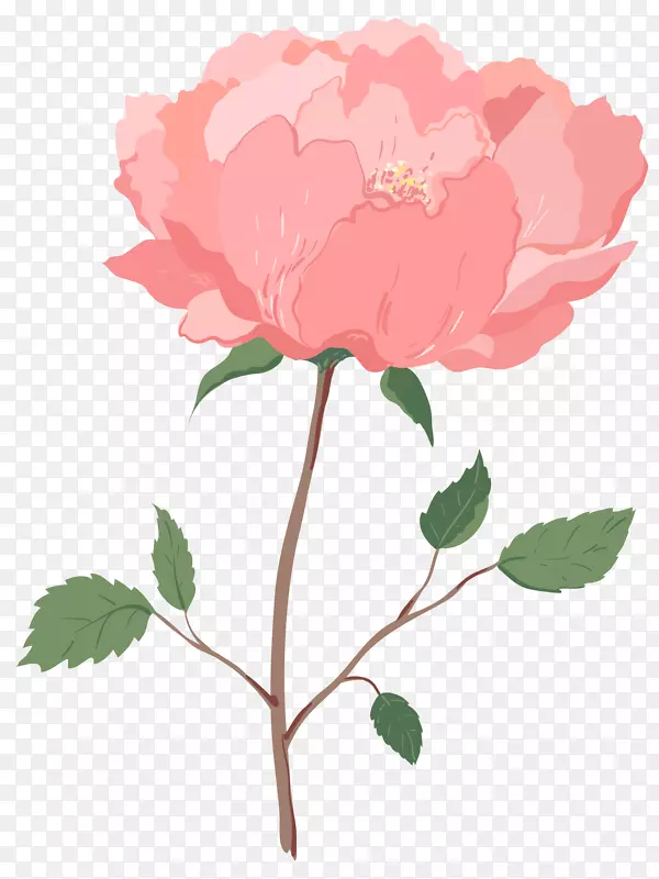 手绘粉色玫瑰花瓣
