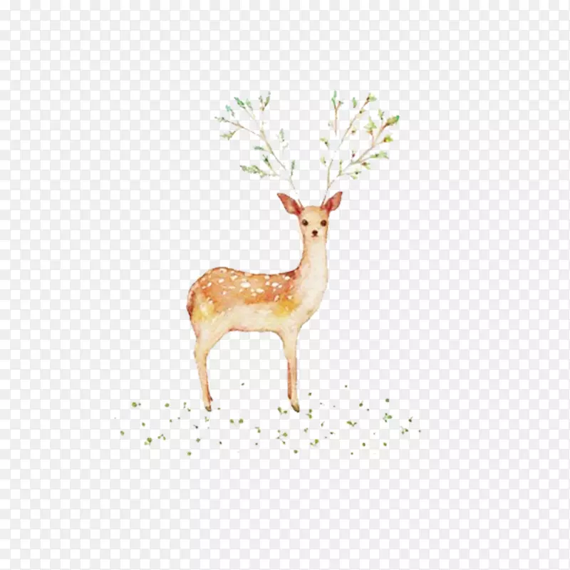 树叶犄角的小鹿创意手绘插图