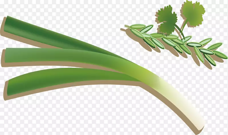 手绘俄罗斯食物美食蔬菜素材矢量