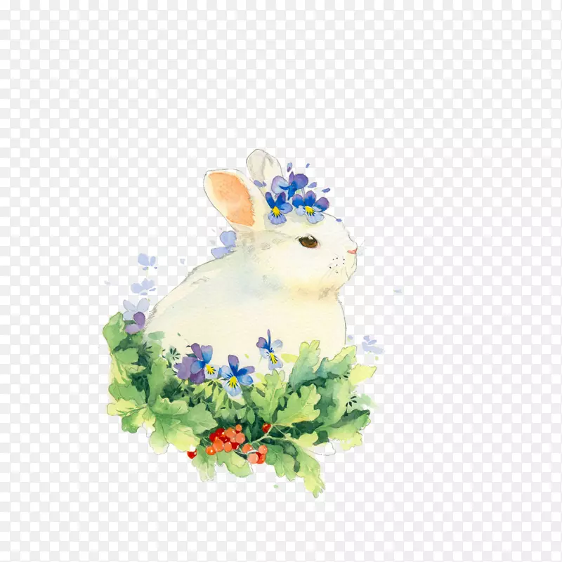 手绘唯美小兔子插画