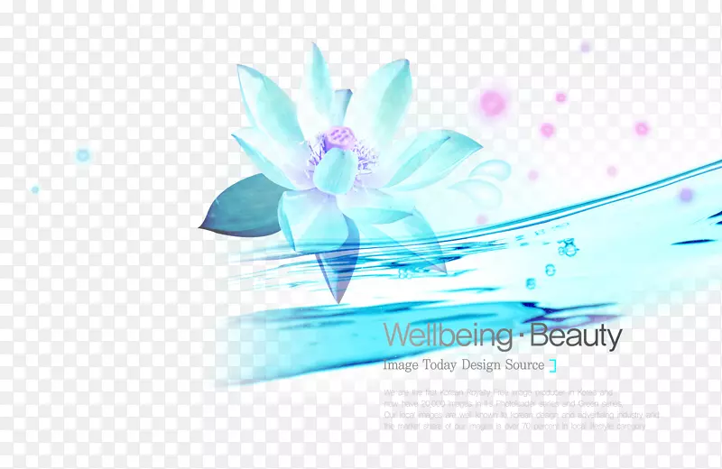 水中的蓝色莲花