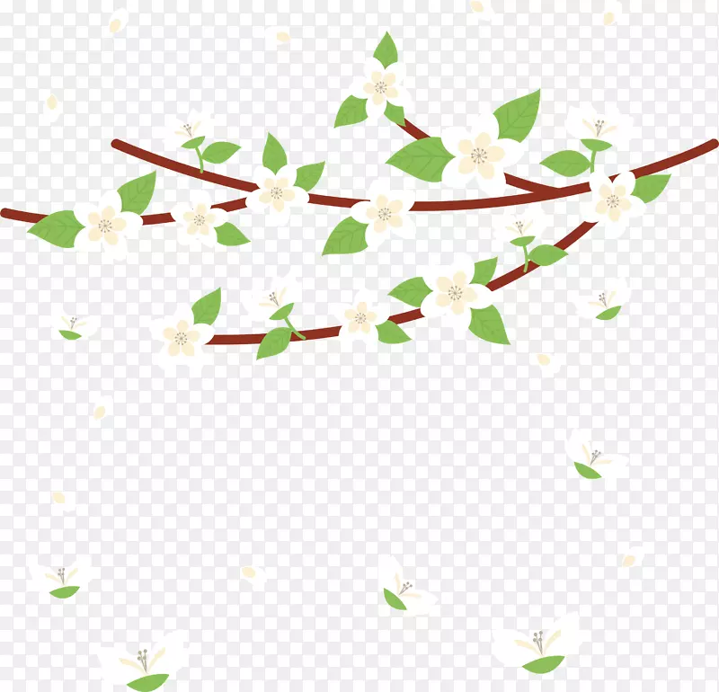 飘落的白色樱花