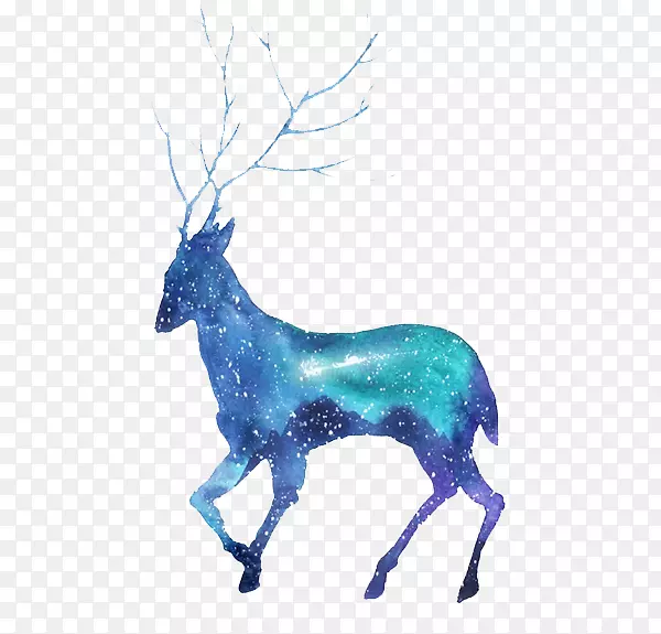 蓝色的小鹿