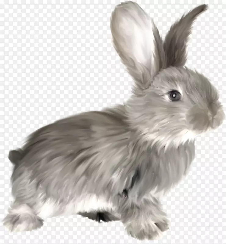 灰色的卡通小兔子