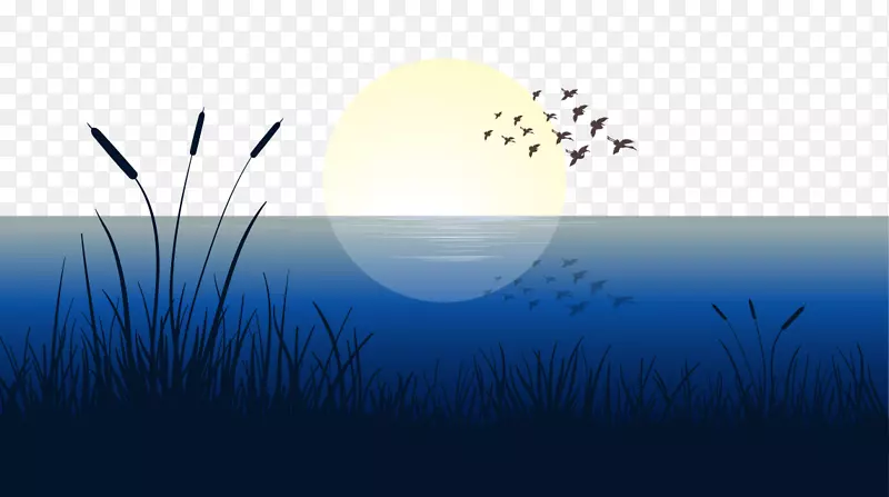矢量水面上的鸟群插图
