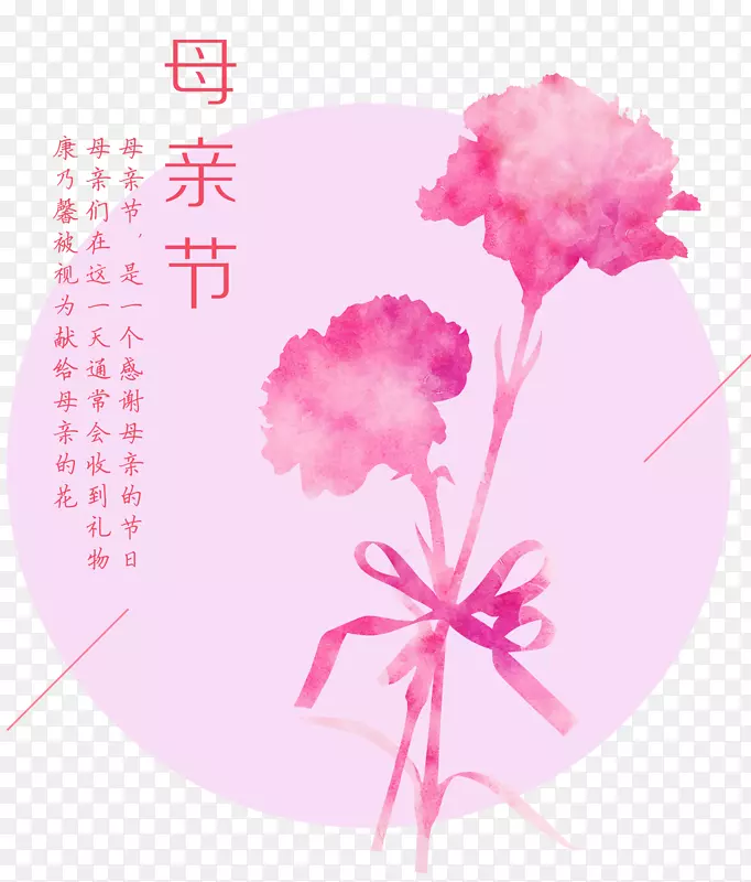 母亲节康乃馨海报