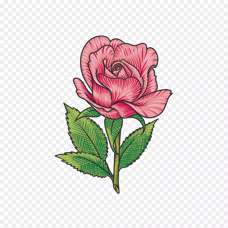 一朵玫瑰花免抠下载