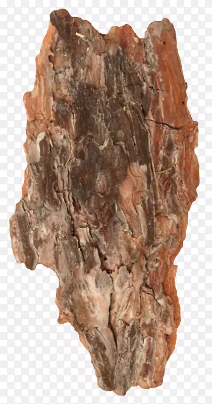 红色带裂纹树皮的旧木块实物