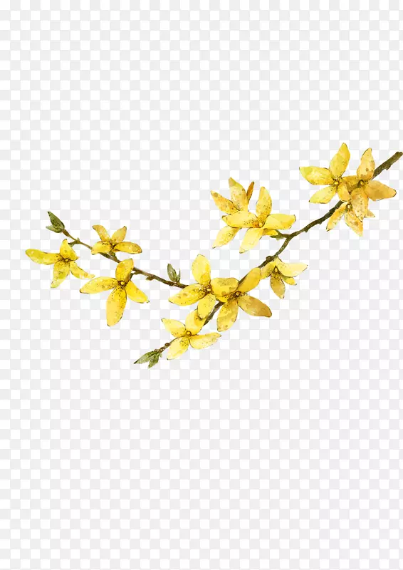黄色花朵边角装饰