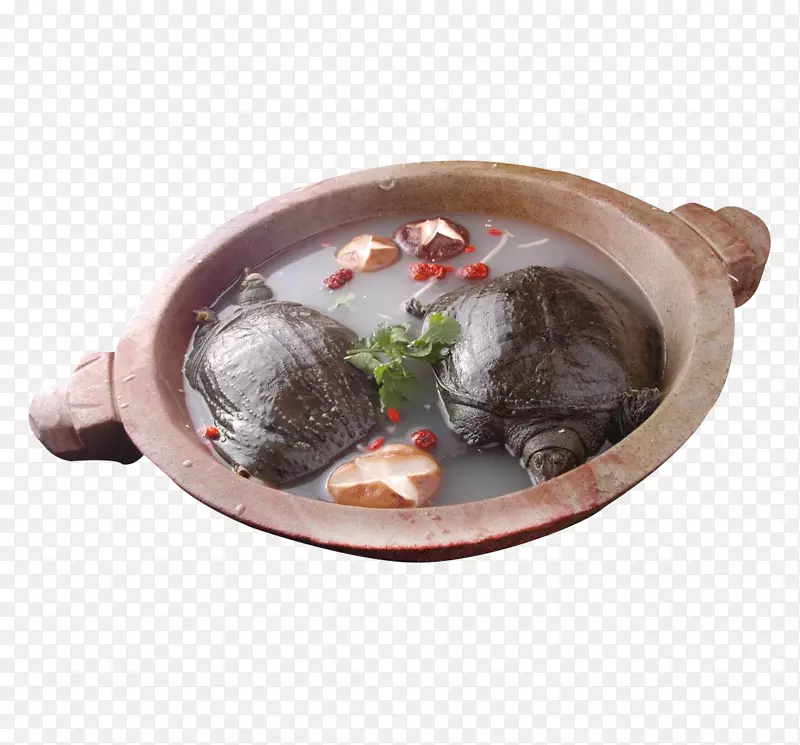 石锅炖甲鱼食品图片