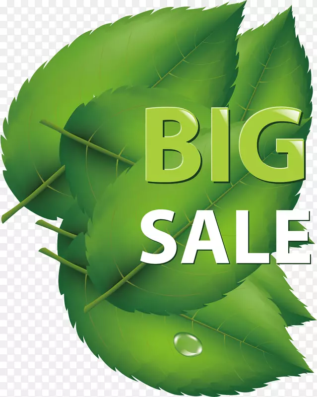 树叶 绿色 甩卖 bigsale