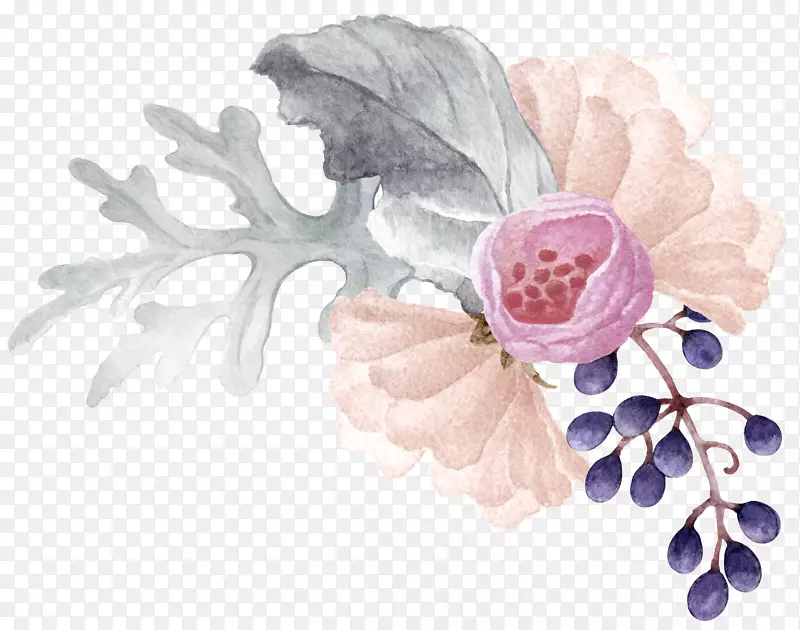 彩色手绘的花朵植物