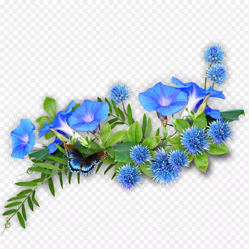 实物野花蓝色喇叭花