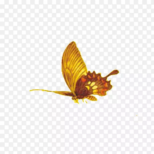 中秋节高清多图层素材 蝴蝶