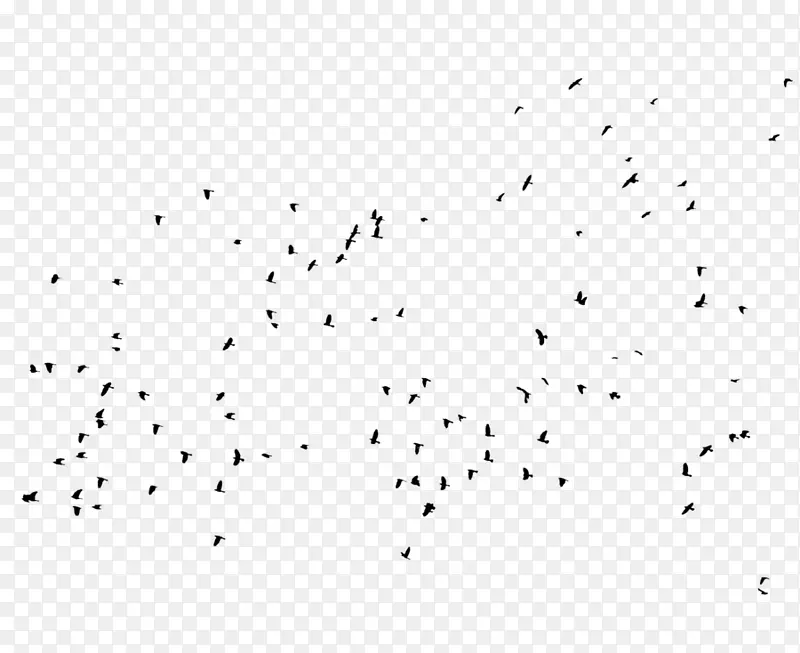 成群结伴的乌鸦在空中飞翔
