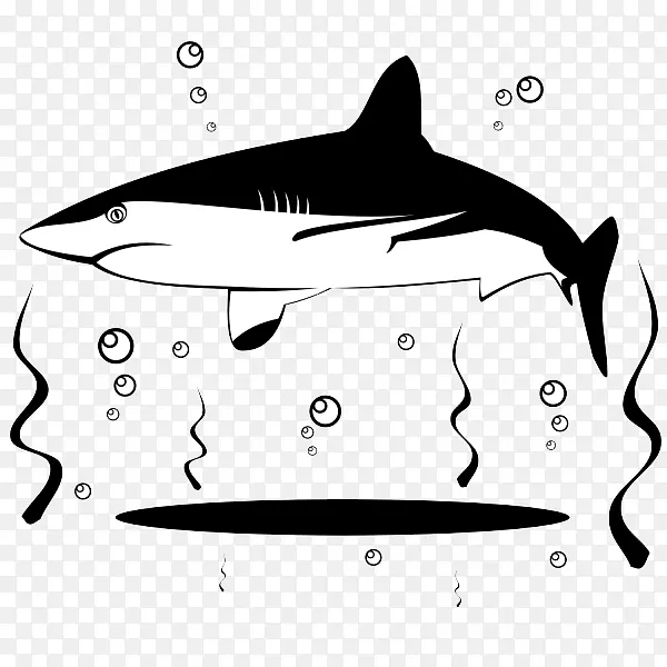 卡通黑白可爱鲨鱼