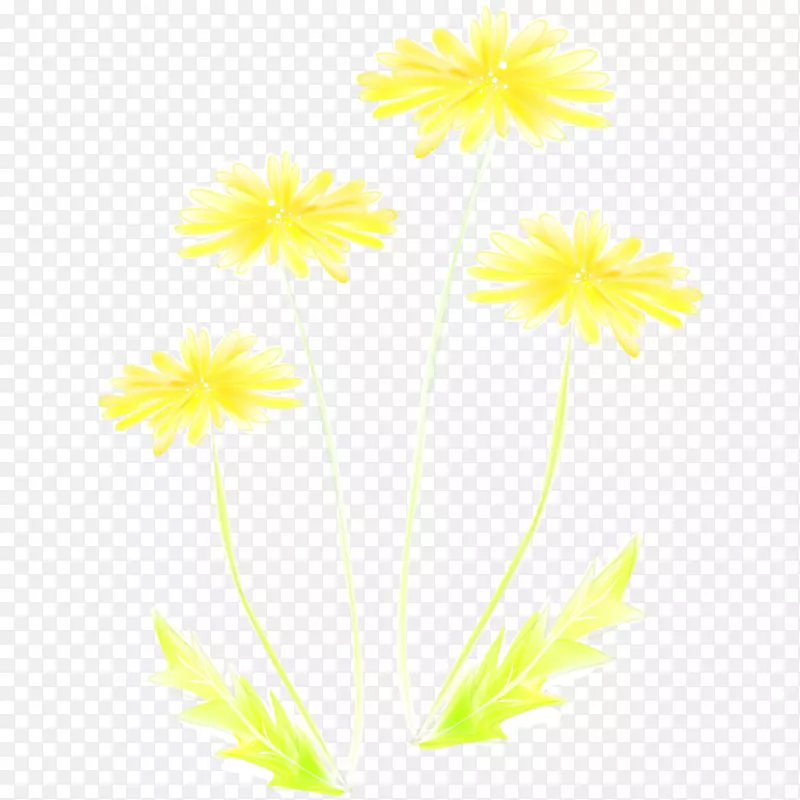 手绘水彩黄色菊花