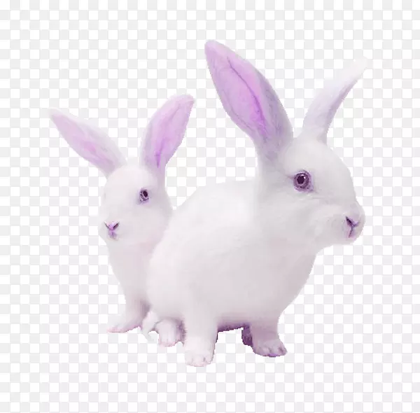 紫色卡通兔子装饰图案