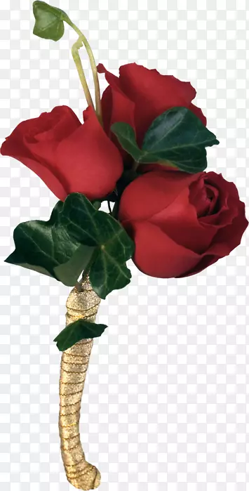 情人节玫瑰