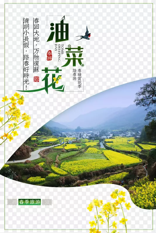 油菜花春回大地春季旅游