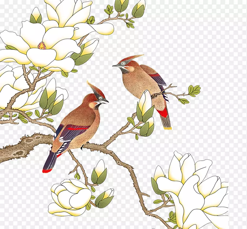 免抠卡通树枝上站立的鸟