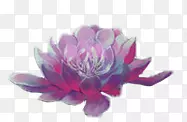 古风手绘紫色莲花