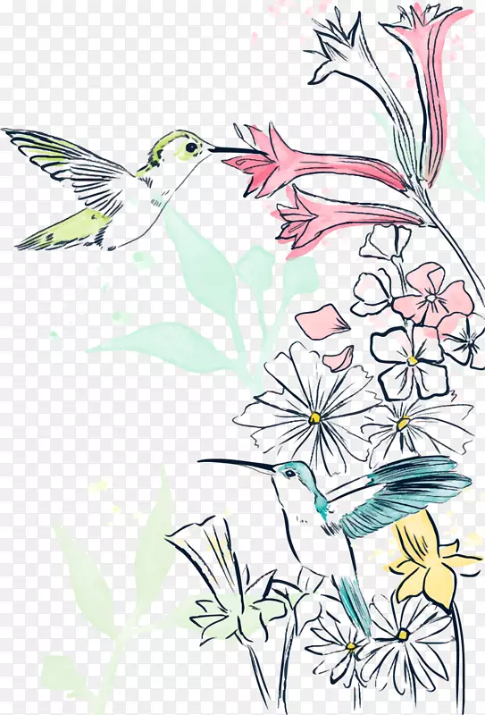 春季水彩文艺蜂鸟