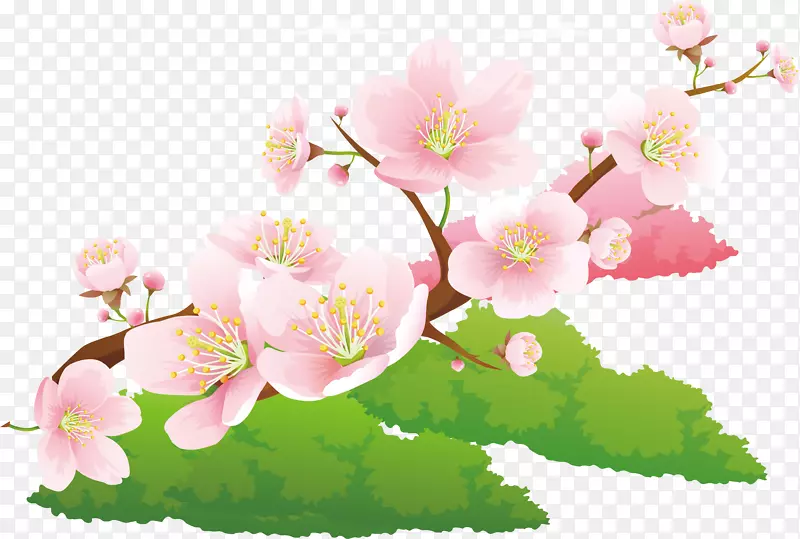 春分花朵美丽春天多彩自然矢量素