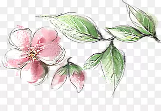 涂鸦植物花朵树叶桃花