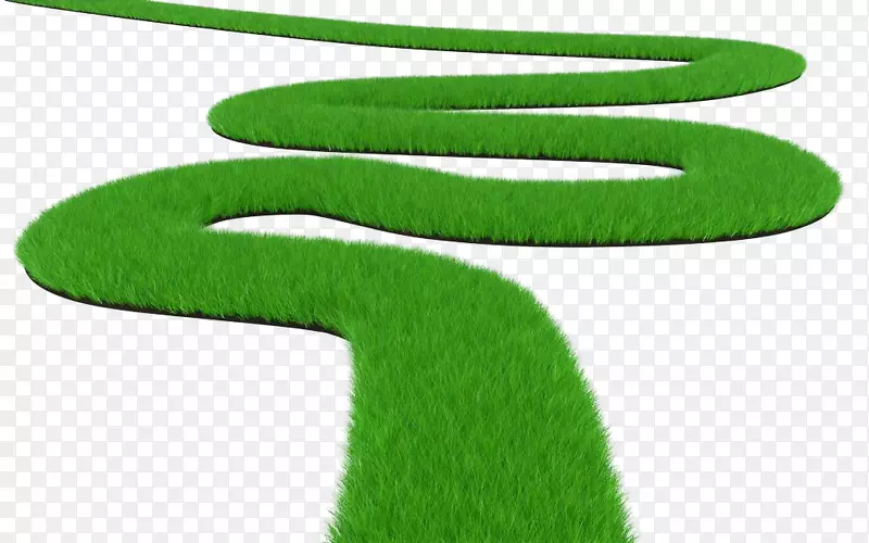 绿色草地蜿蜒小路