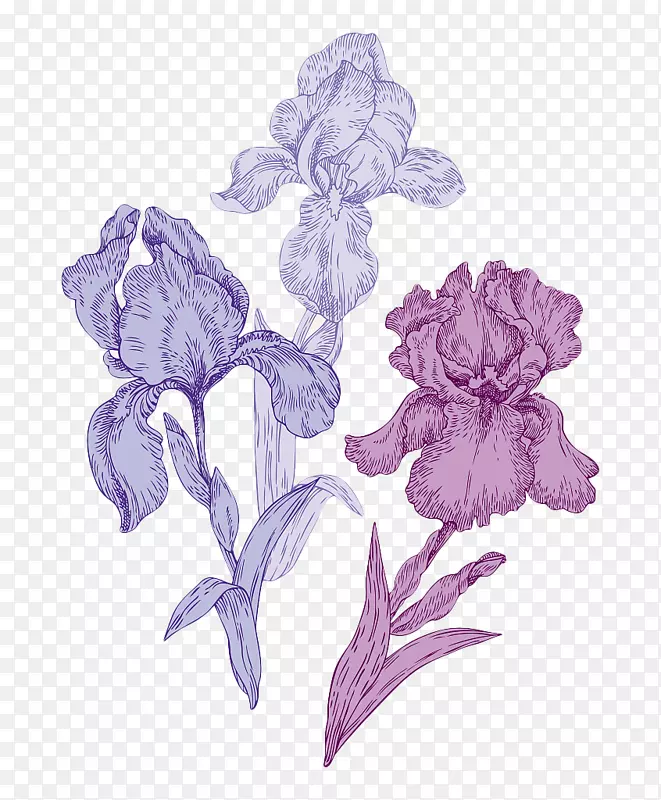紫色手绘线条花卉