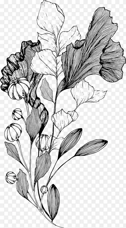 素色线描植物
