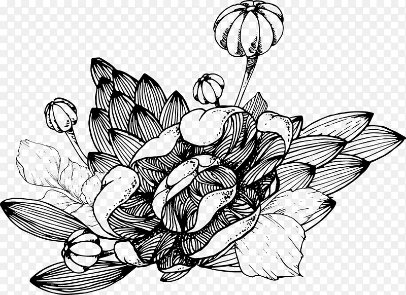 素色线描植物-4