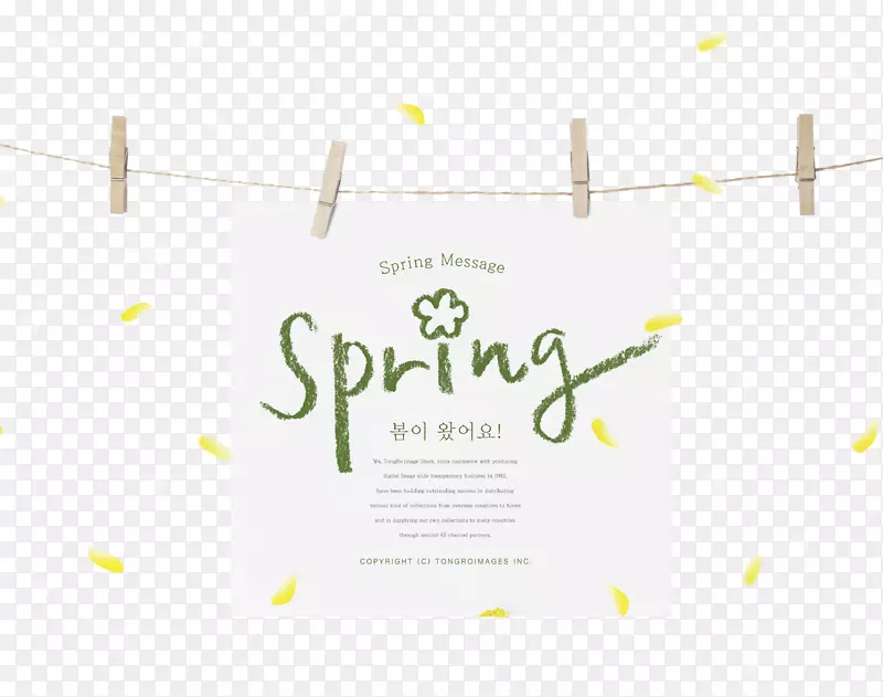 唯美韩式春天挂起来的卡片