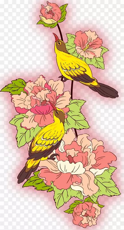 手绘装饰花鸟插画