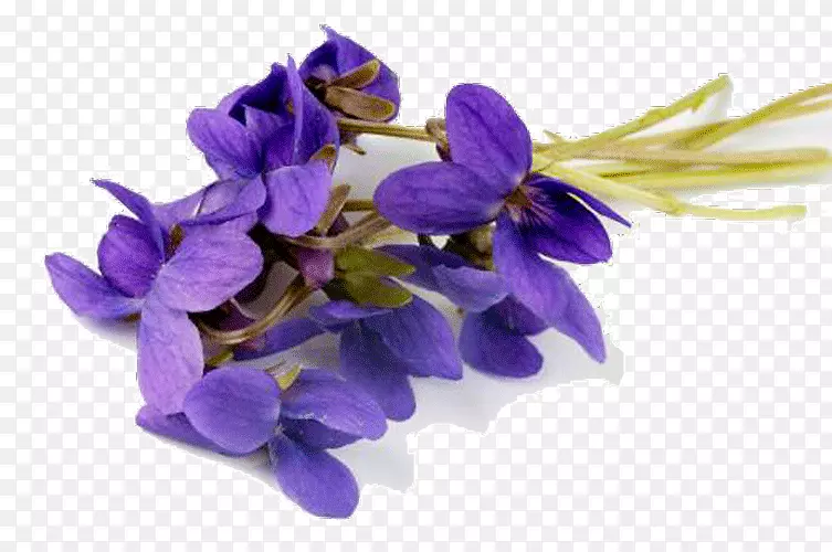 紫罗兰花瓣