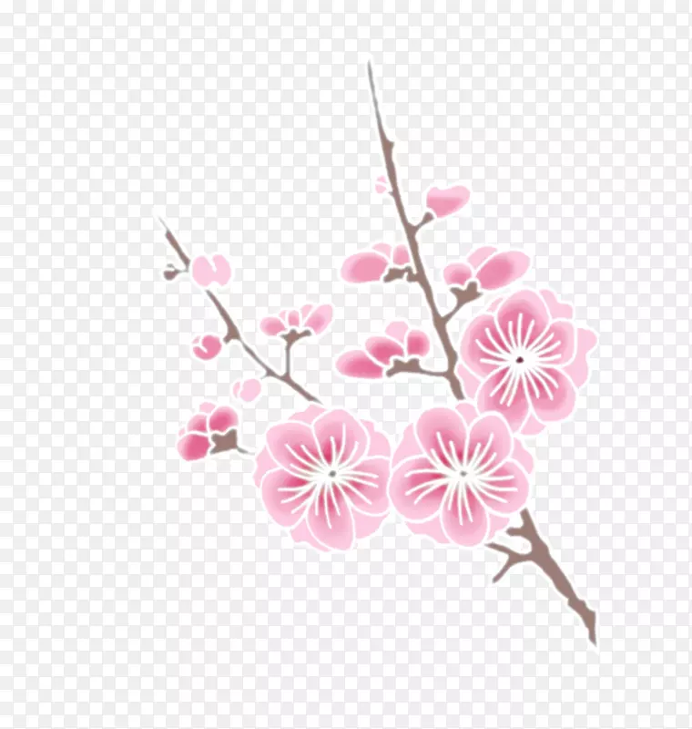 粉色盛开的梅花