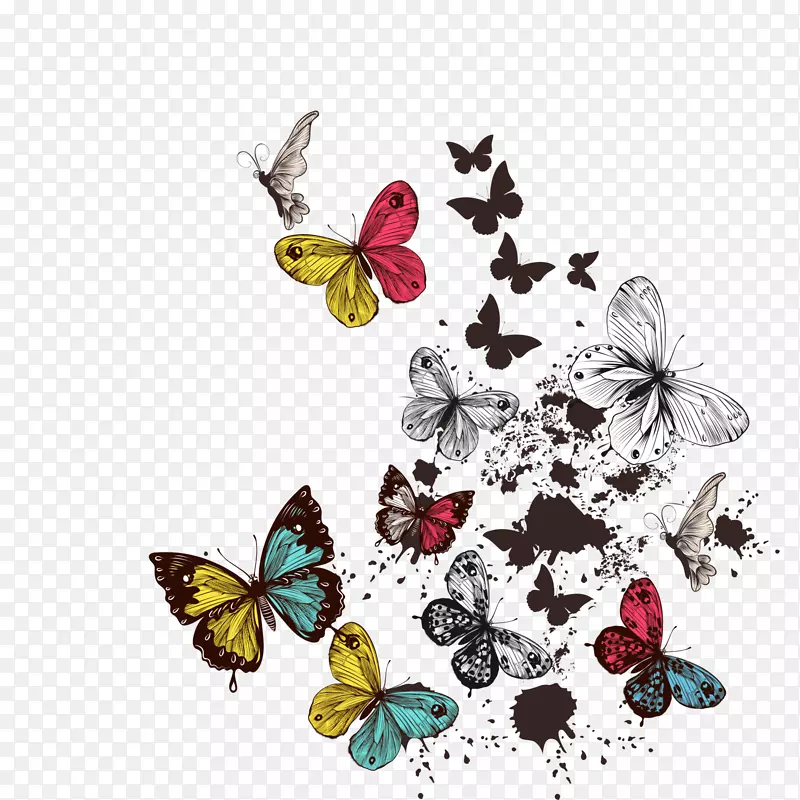 唯美多彩各式蝴蝶
