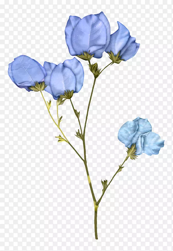 蓝色花瓣素材