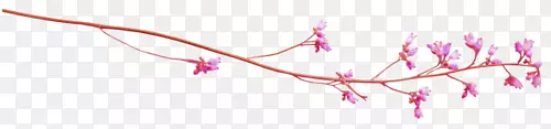 梅花
