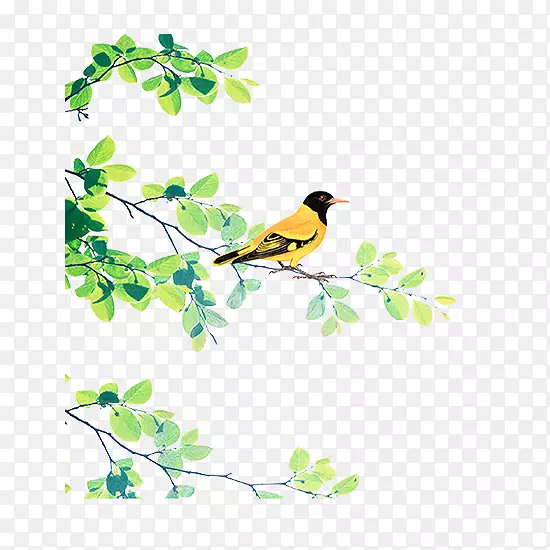 站在树枝上的画眉鸟