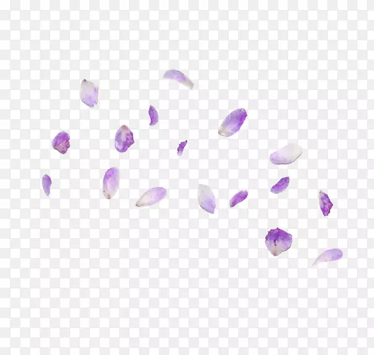 紫色飘舞花瓣