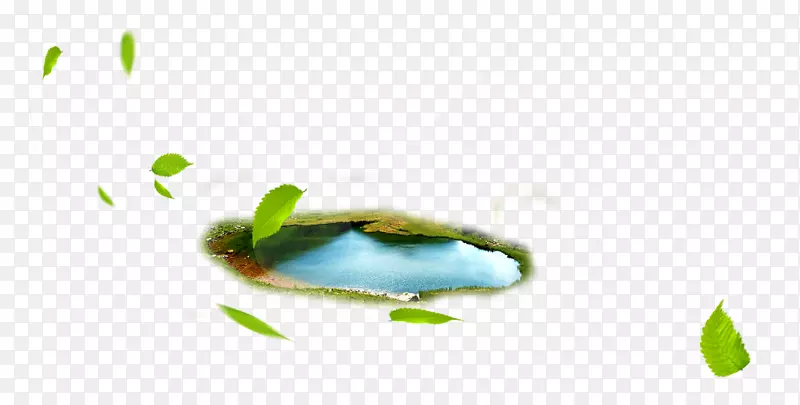 绿叶漂浮的湖