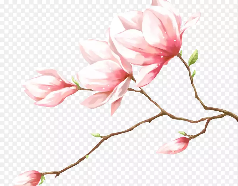 阳春三月桃花待放