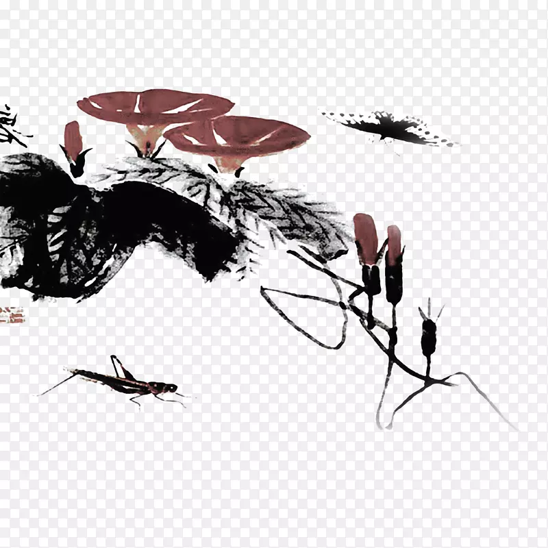 中国风水墨牵牛花和蝴蝶蚱蜢